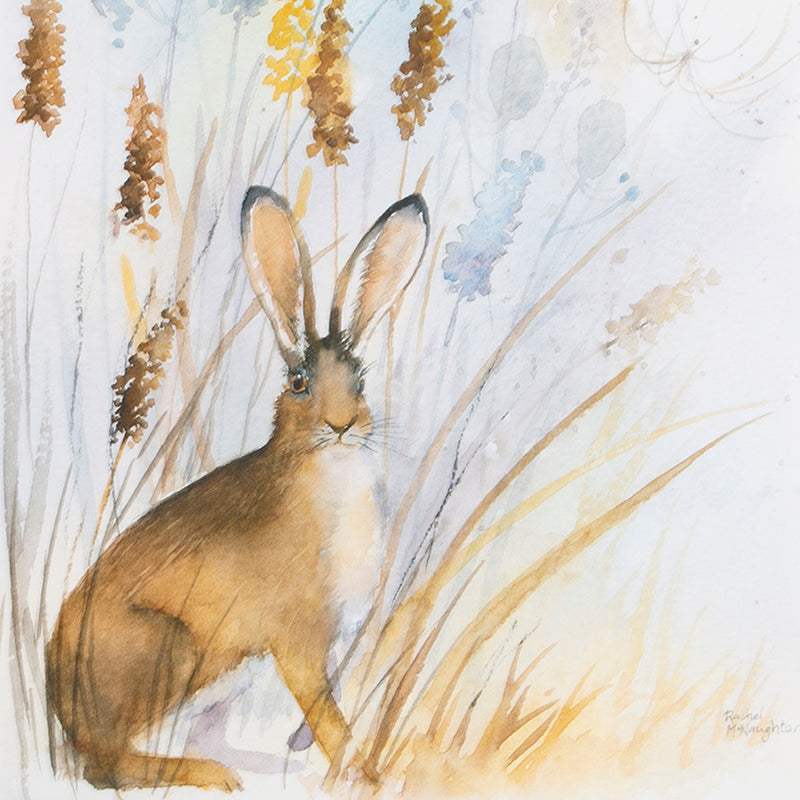 Laura Ashley Country Hare Wallart